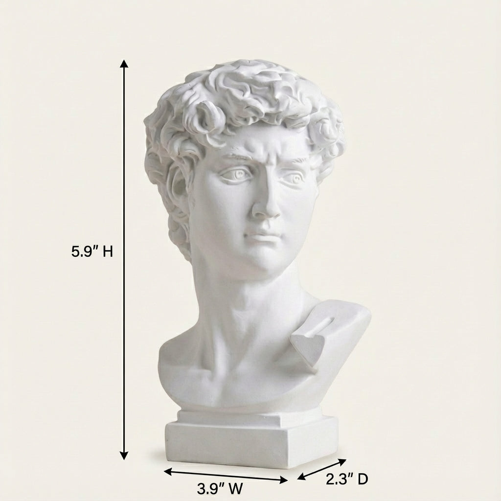 Modern Classical Resin Figurative Bust