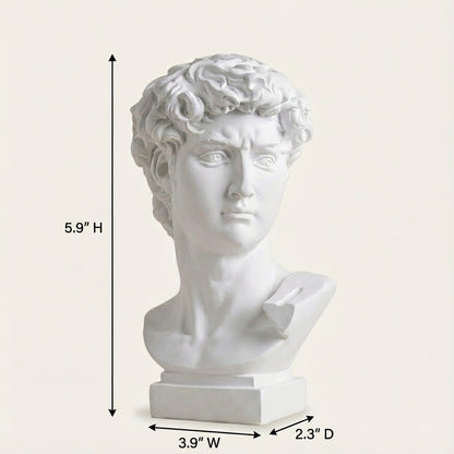 Modern Classical Resin Figurative Bust